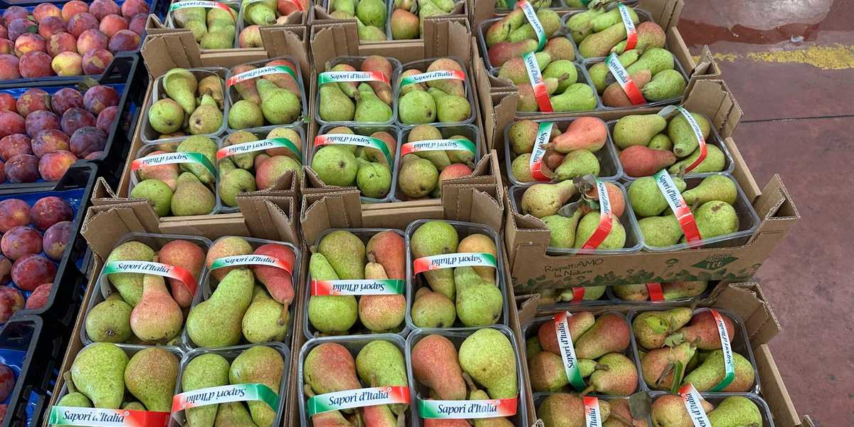 Pere Carmen - Italia, cal. 60+, prezzo 1,30-1,50 euro/chilo
